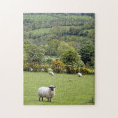 Western Irland, Dingle Halbinsel Puzzle (Vertikal)