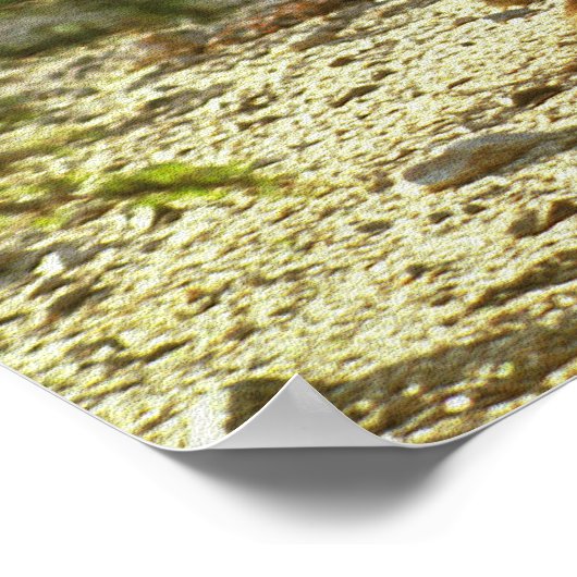 Western Jackalope Poster (Ecke)