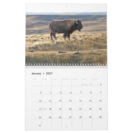 Western-Kansas-Büffel Kalender (Jan 2027)