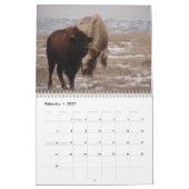 Western-Kansas-Büffel Kalender (Feb 2027)