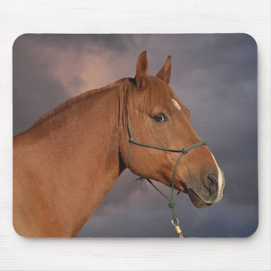 Western Kastanienbraun Mousepad (Vorne)