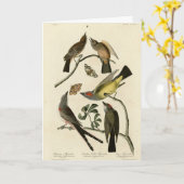 Western Kingbird, etc - Audubons Vögel in Amerika Karte (Gelbe Blume)