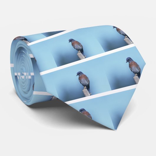 Western Krawatte (Gerollt)