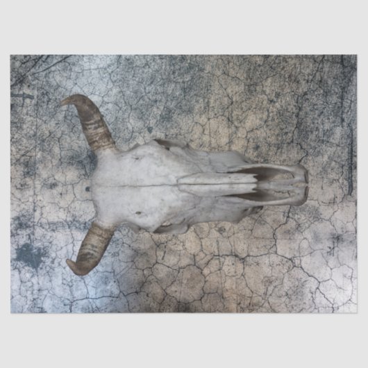 Western Kuh Rind Schädeldecke Tissue Seidenpapier (Vorderseite)