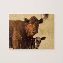 Western Kuh und Kalb