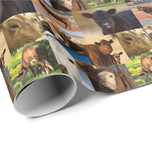 Western-Kühe-Collage Geschenkpapier