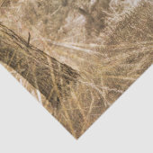 Western Longhorn Bull Seidenpapier (Detail)