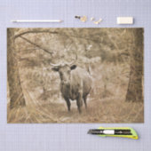 Western Longhorn Bull Seidenpapier (Handwerk)