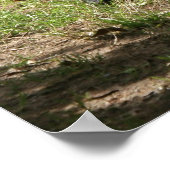 Western Lowland Gorilla Poster (Ecke)