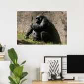 Western Lowland Gorilla Poster (Heimbüro)
