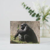 Western Lowland Gorilla Postkarte (Stehend Vorderseite)
