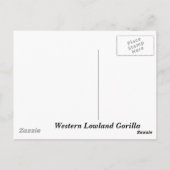 Western Lowland Gorilla Postkarte (Rückseite)
