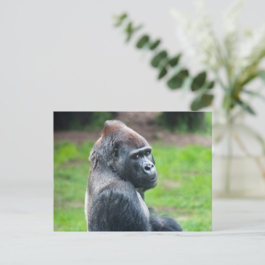 Western Lowland Gorilla Postkarte (Stehend Vorderseite)