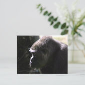 Western Lowland Gorilla Postkarte (Stehend Vorderseite)