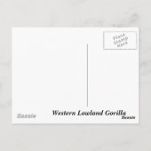 Western Lowland Gorilla Postkarte (Rückseite)