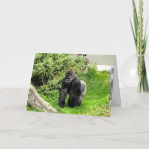 Western Lowland Silverback Feiertagskarte
