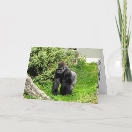 Western Lowland Silverback Feiertagskarte (Vorderseite)