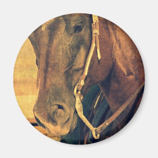 Western Magnet (Vorne)