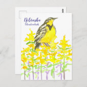 Western Meadowlark Bird Goldenrod Nebraska Postkarte (Vorne/Hinten)