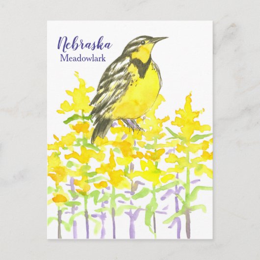 Western Meadowlark Bird Goldenrod Nebraska Postkarte (Vorderseite)