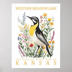 Western Meadowlark Bird von Kansas USA Travel Poster