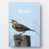 Western Meadowlark Fotoplatte (Vorderseite)