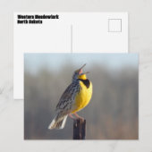 Western Meadowlark in North Dakota Postkarte (Vorne/Hinten)