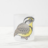 Western Meadowlark Mattglastasse (Mittel)