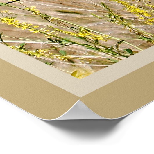 Western Meadowlark Poster (Ecke)