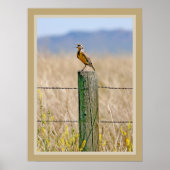 Western Meadowlark Poster (Vorne)