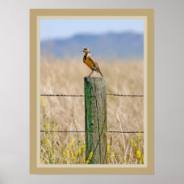 Western Meadowlark Poster