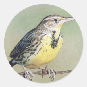 Western Meadowlark Runder Aufkleber