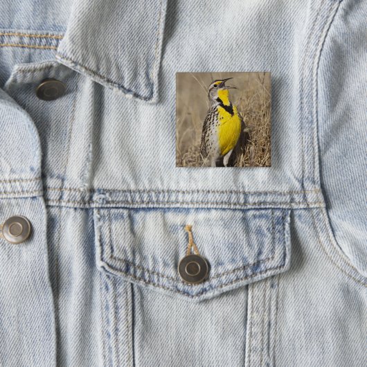 Western Meadowlark (Strunella neglecta) Button (Beispiel)