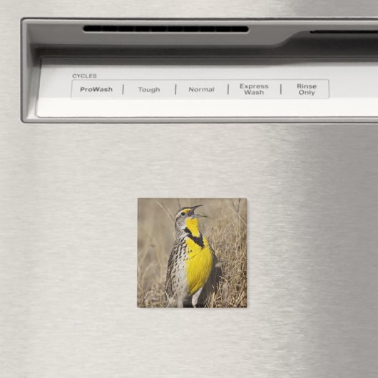 Western Meadowlark (Strunella neglecta) Magnet (In Situ (Geschirrspüler))