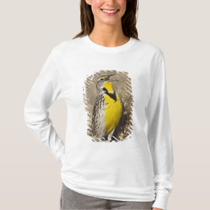 Western Meadowlark (Strunella neglecta) T-Shirt