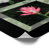 Western Montana Wildblumen drucken Poster (Ecke)