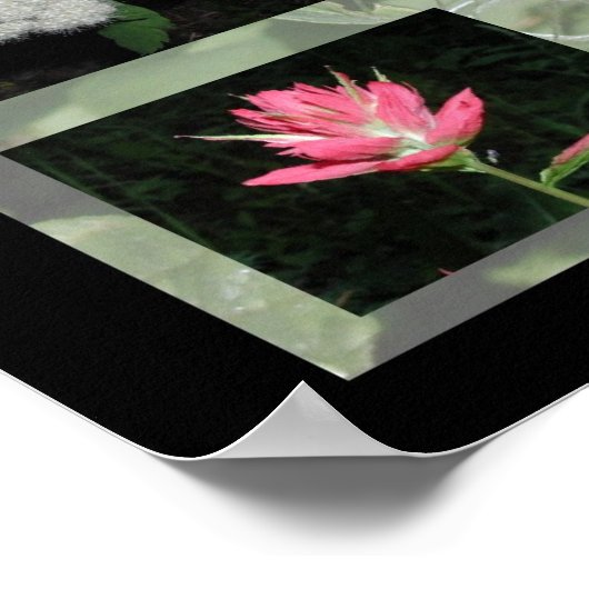 Western Montana Wildblumen drucken Poster (Ecke)