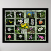 Western Montana Wildblumen drucken Poster (Vorne)