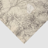 Western Nevada Seidenpapier (Ausschnitt)