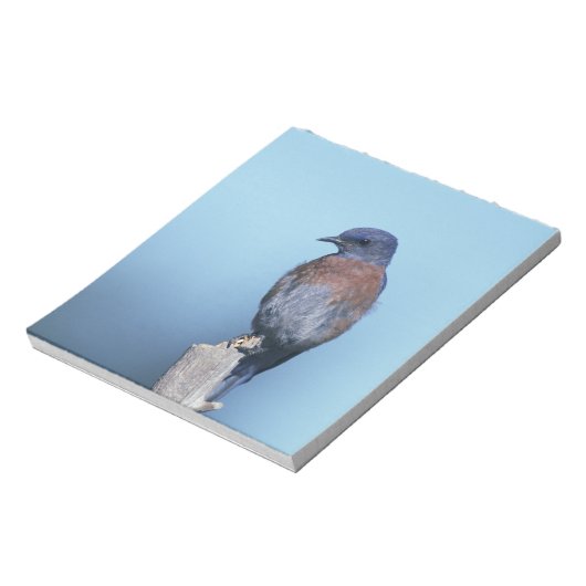 Western Notizblock (Rotiert)