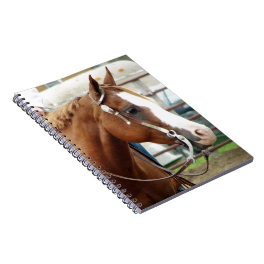 Western Notizblock (Rechte Seite)