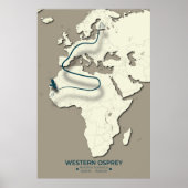 Western Osprey Migration Map - Minimalistisch Vint Poster (Vorne)
