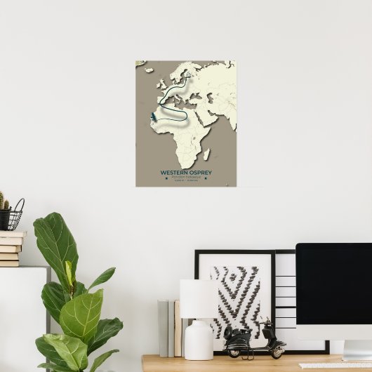 Western Osprey Migration Map - Minimalistisch Vint Poster (Heimbüro)