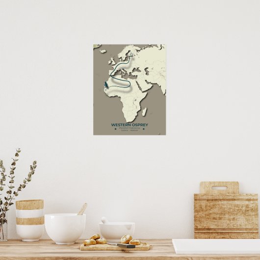 Western Osprey Migration Map - Minimalistisch Vint Poster (Küche)