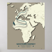 Western Osprey Migration Map - Minimalistisch Vint Poster (Vorne)