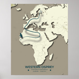 Western Osprey Migration Map - Minimalistisch Vint Poster
