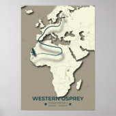 Western Osprey Migration Map - Minimalistisch Vint Poster (Vorne)