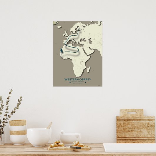 Western Osprey Migration Map - Minimalistisch Vint Poster (Küche)