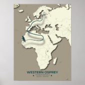 Western Osprey Migration Map - Minimalistisch Vint Poster (Vorne)