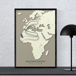 Western Osprey Migration Map - Minimalistisch Vint Poster